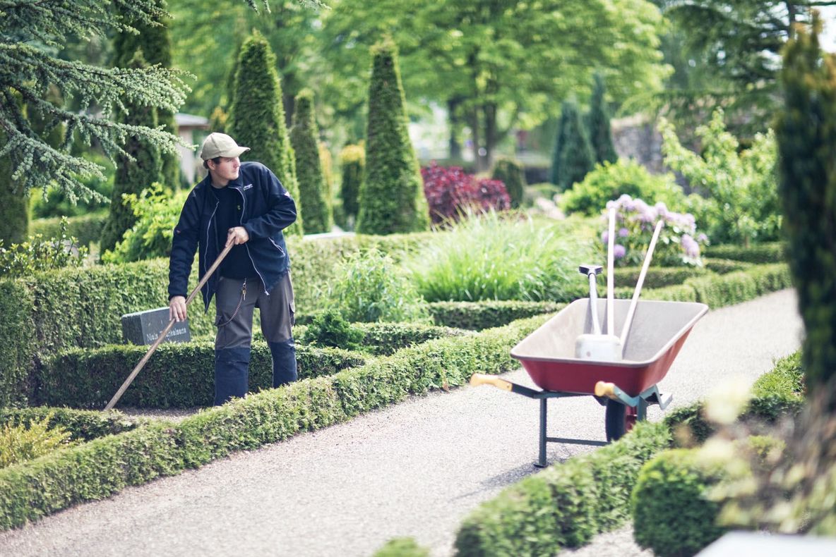 10 mureșeni merg la cel mai modern liceu agricol din Danemarca