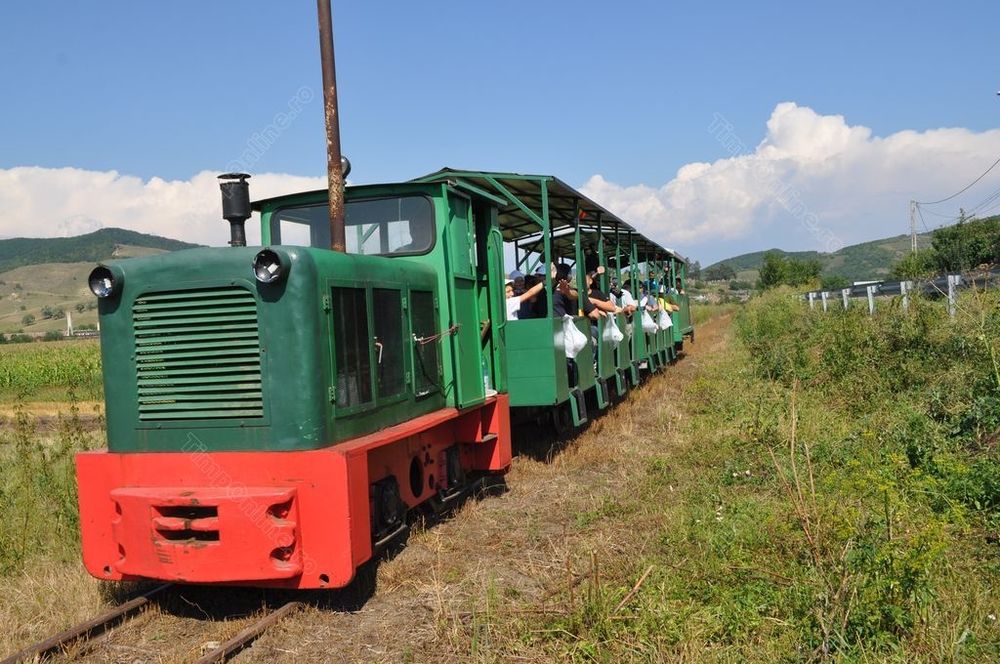 Mocănița Transilvaniei este în pericol
