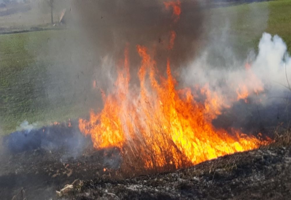 Incendii de vegetație uscată la Târnăveni și Reghin