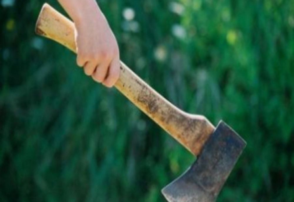 Femeie din Târgu Mureș, suprinsă transportând cu un tomberon cadavrul unui bărbat ucis cu toporul