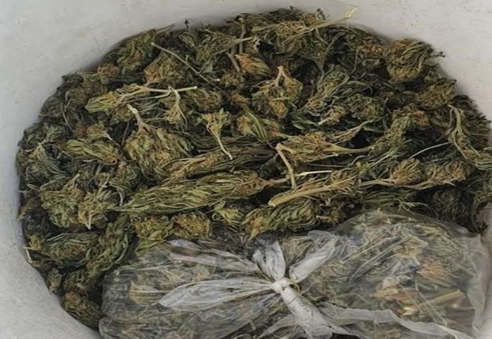 Trei mureșeni, arestați preventiv pentru trafic de droguri! Au fost prinși în flagrant în timp ce vindeau halucinogene