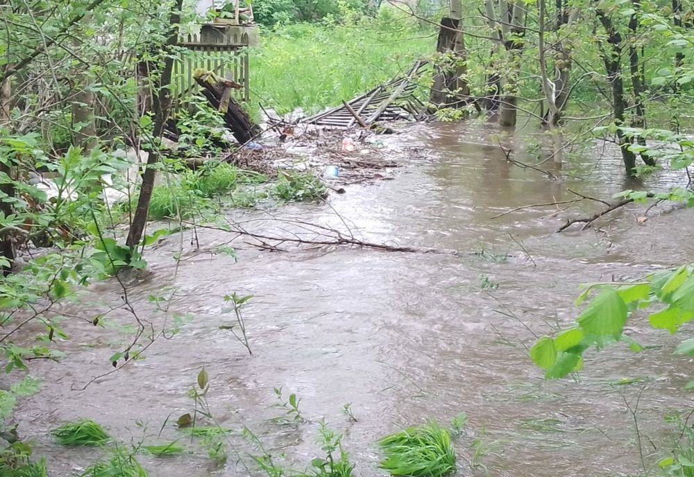 FOTO | Pericol de inundaţii în Bistra Mureşului! Pompierii au decolmatat un pod