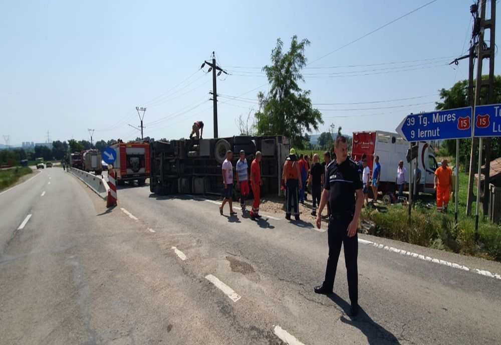 FOTO | TIR încărcat cu animale răsturnat în judeţul Mureş: două au murit, iar 21 au fost salvate