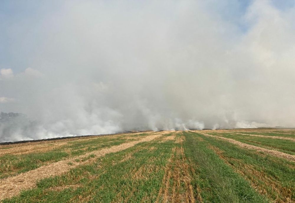 FOTO | Amplu incendiu de vegetaţie în judeţul Mureş! Ard 7 hectare