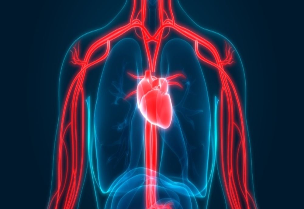 Alimentele care desfundă arterele și curăță sângele