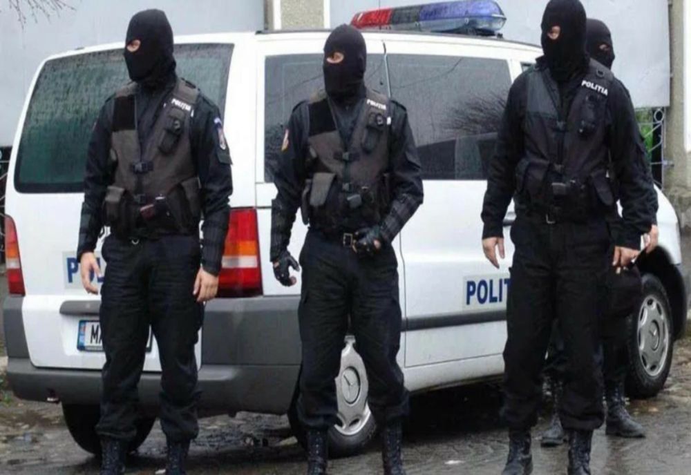 VIDEO: Percheziții în Mureș, la hoți de lemne