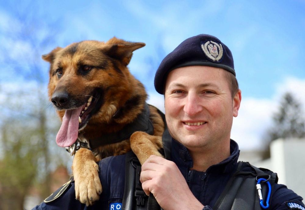 Au început înscrierile pentru școlile de jandarmi! Care sunt condițiile