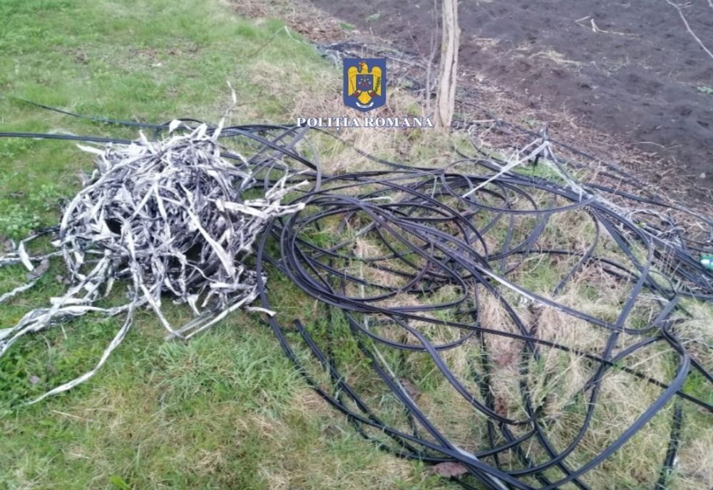 Mureş: Doi bărbaţi şi un minor au furat sute de metri de cablu telefonic (FOTO)