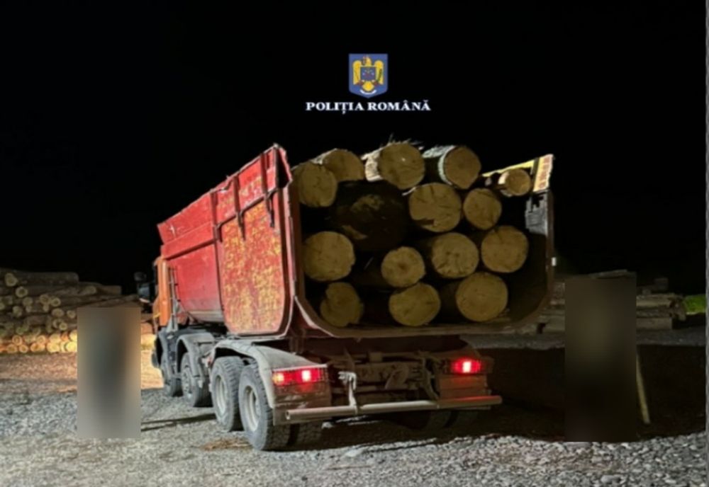 Prins transportând ilegal circa 16 mc de lemn, a rămas fără marfă, dar și fără autocamion