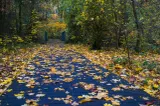 Vremea se răcește în noiembrie. Ce anunță ANM despre temperaturi și precipitații