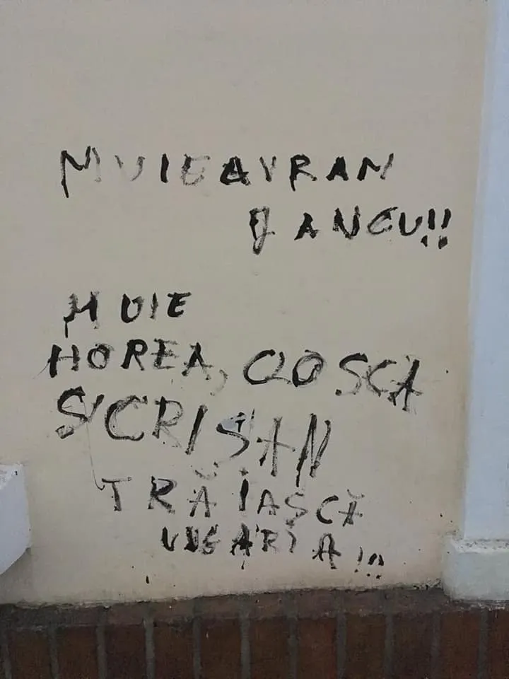 49948755_1997349040381928_8589293125749440512_n