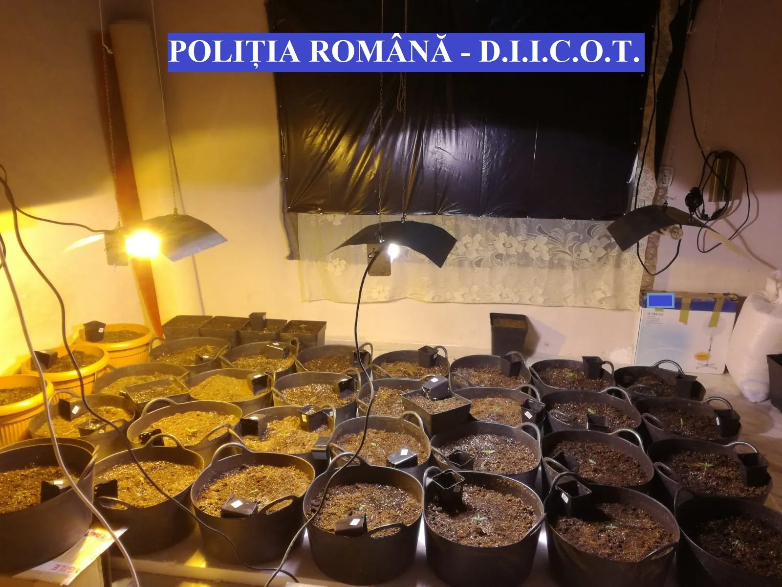 FOTO-1
