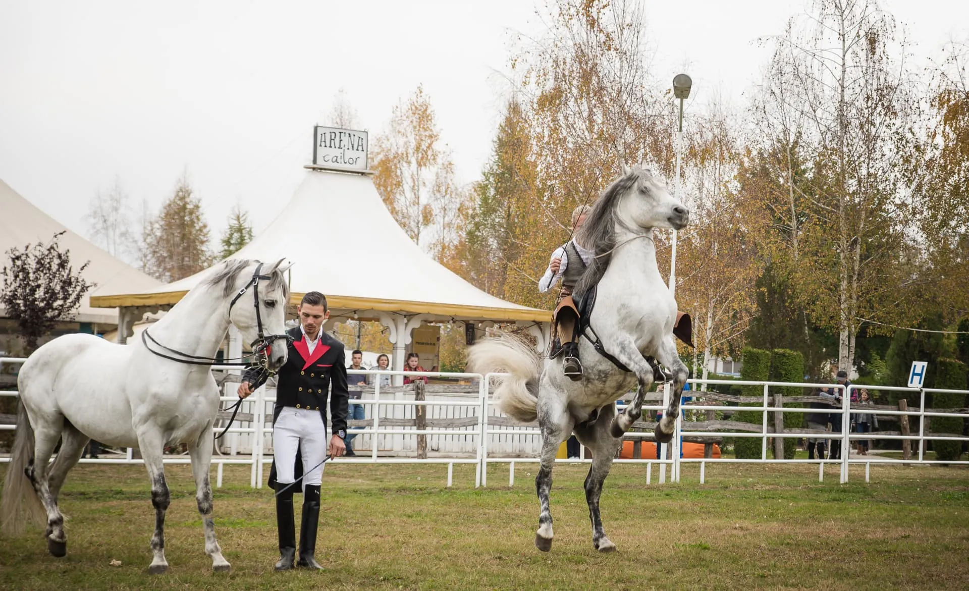 dracula-horse-festival-1