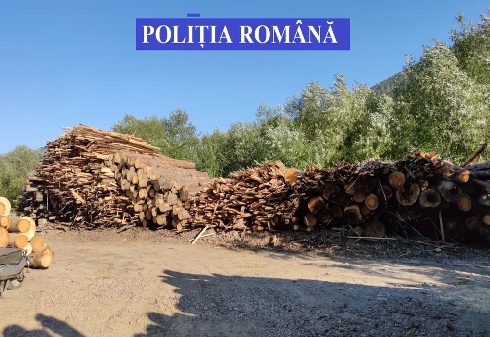 Aproape 900 de metri cubi de material lemnos confiscat în urma celor 30 de percheziţii efectuate de poliţiştii din Mureş