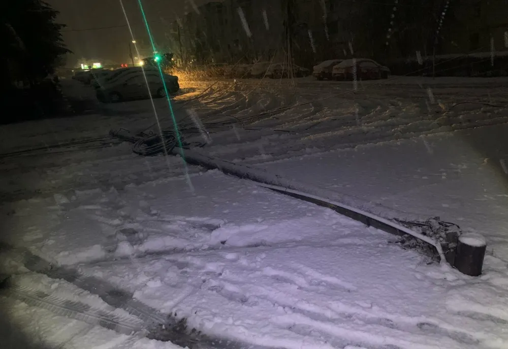 Copaci și un stâlp electric, căzuți pe carosabil în mai multe localități din județul Mureș