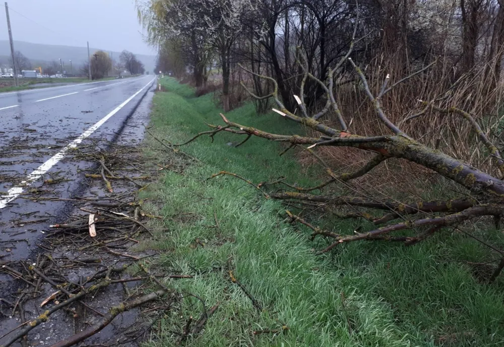 FOTO: Furtuna a făcut ravagii în Mureș