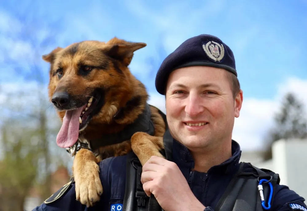 Au început înscrierile pentru școlile de jandarmi! Care sunt condițiile