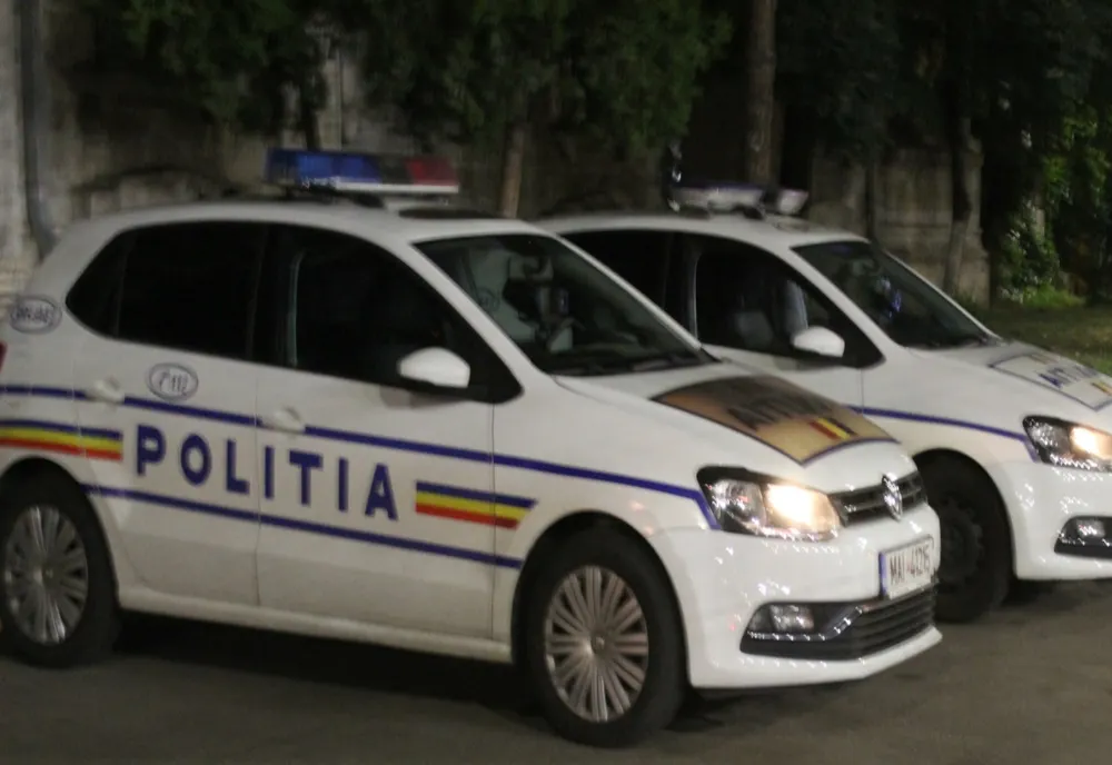 Doi copii de 14 şi 15 ani au dat mai multe spargeri în Band: au furat bani şi păsări
