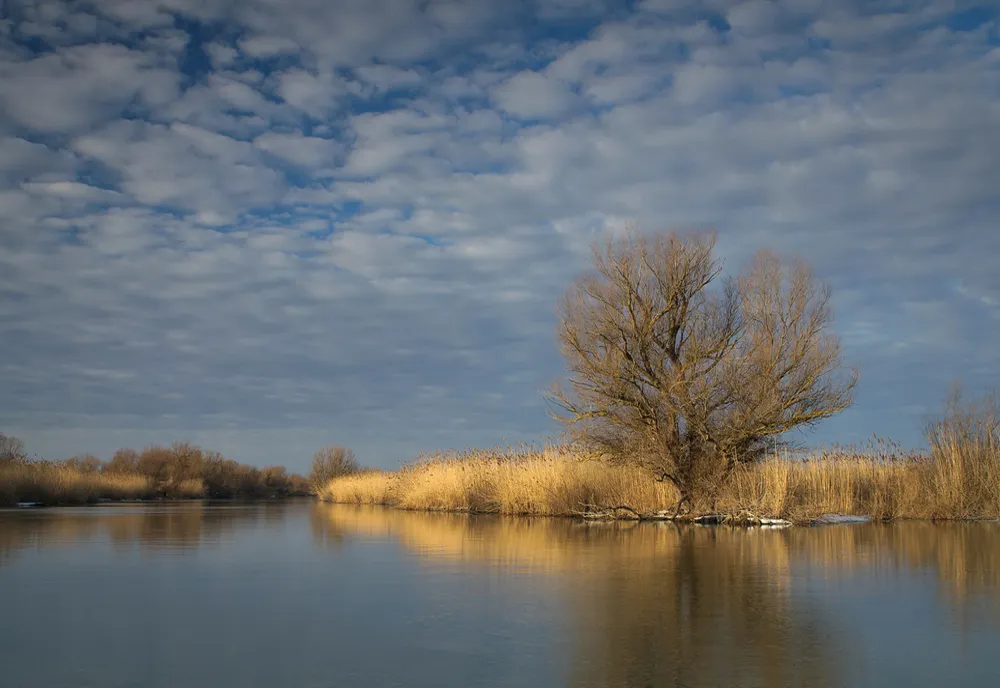 Numărul turiştilor din Deltă a scăzut cu circa 40% anul trecut faţă de 2022