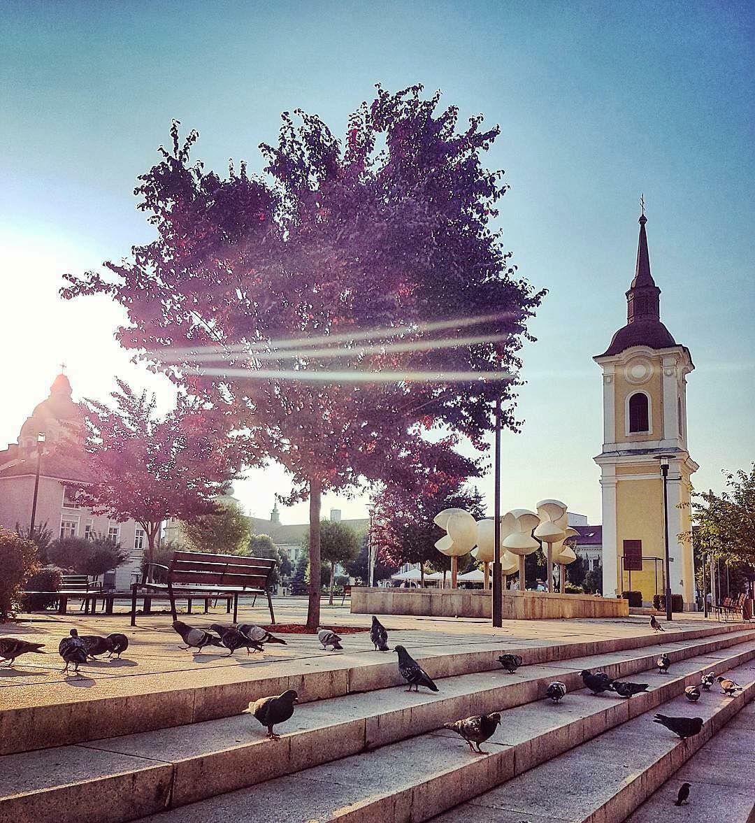 67A638D4-431C-45D3-949A-32E8D46A5FDD