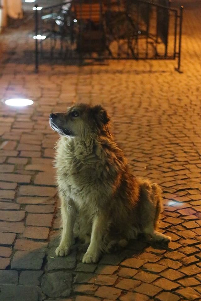 CAF5C03B-802D-4B41-A6CD-61FF34E3C484