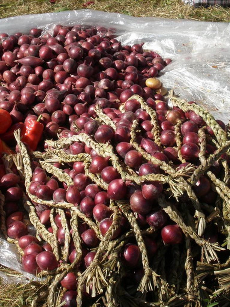 11E1F778-0E78-4375-A848-D249537BC531