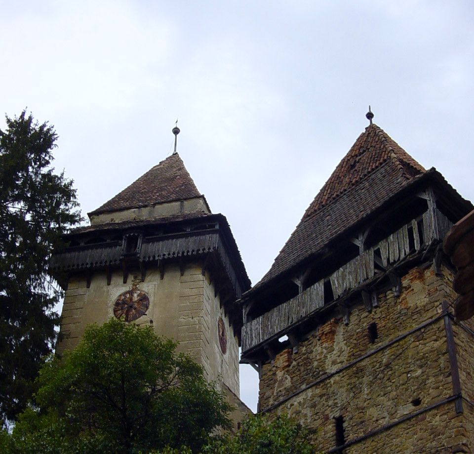 E2E54CB8-8062-4DEE-9164-BBF0986EAAD4