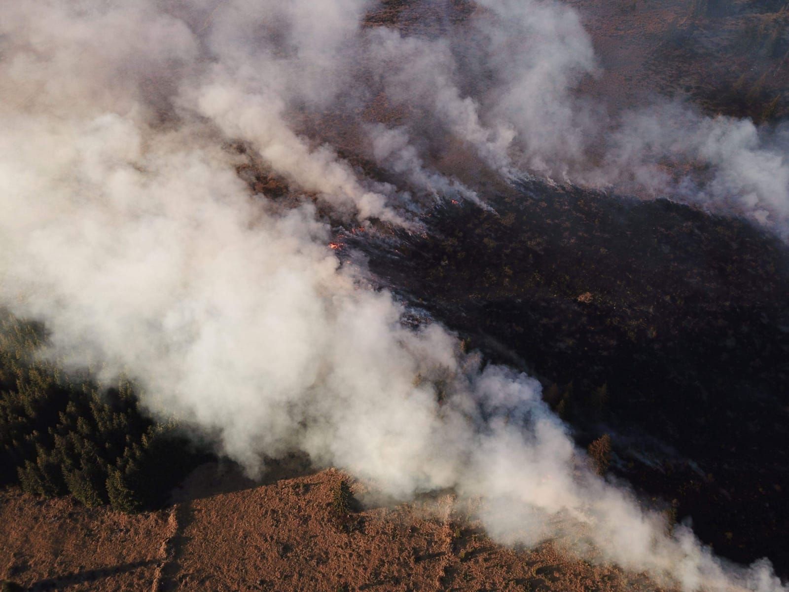 6D3BAE9F-D0CF-4858-BCC1-CA199595C1DB