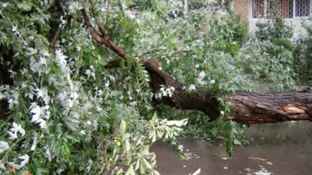 A15AF72D-4260-4E53-A9F9-EA19F68A383D