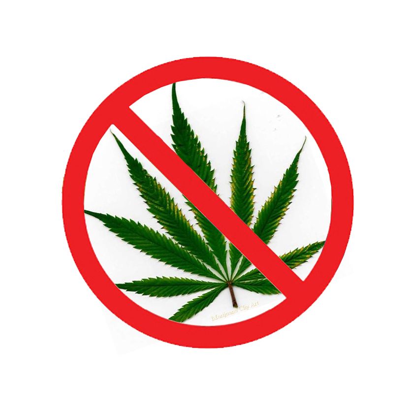 F803734A-02F1-44B7-9456-CE917DB9E8EB