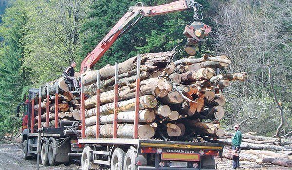 26764109-8820-4A41-BFDF-E6DAD5F0B770