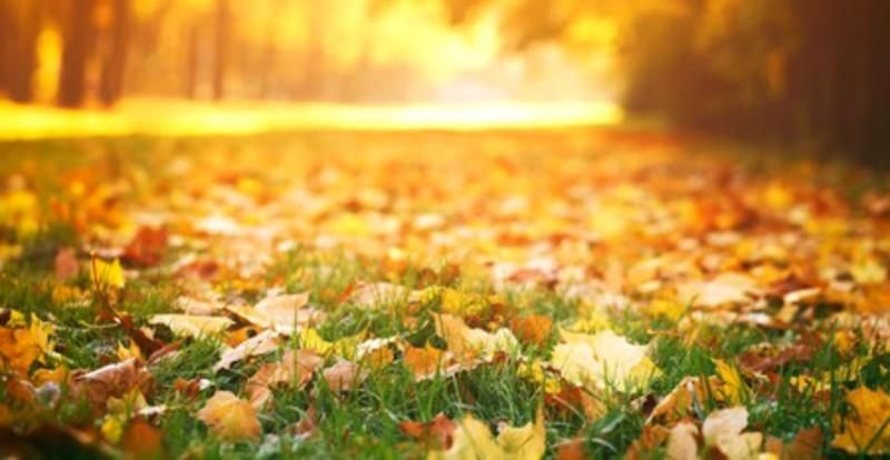 D6C8CCF4-37DF-40EB-8436-CB8080382708