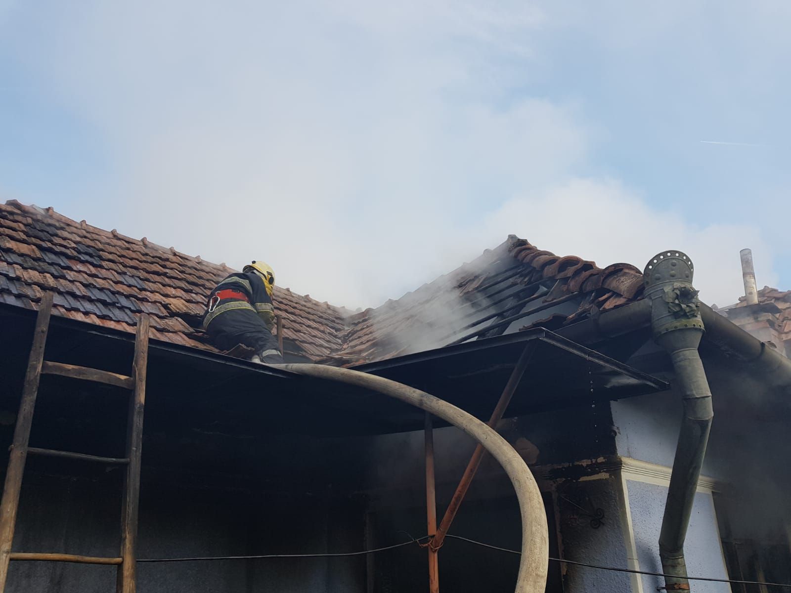 WhatsApp Image 2018-11-20 at 11.54.50