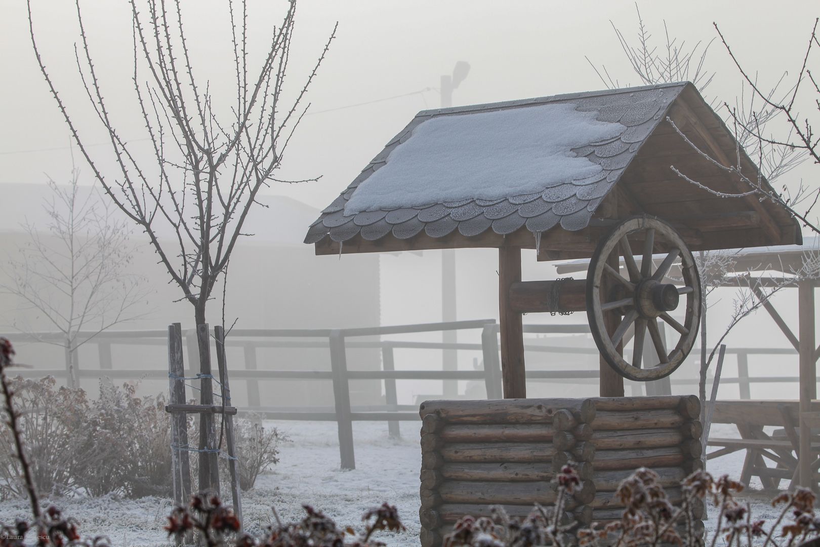 0EF9158C-5069-4801-A89B-7D1D8D196A14