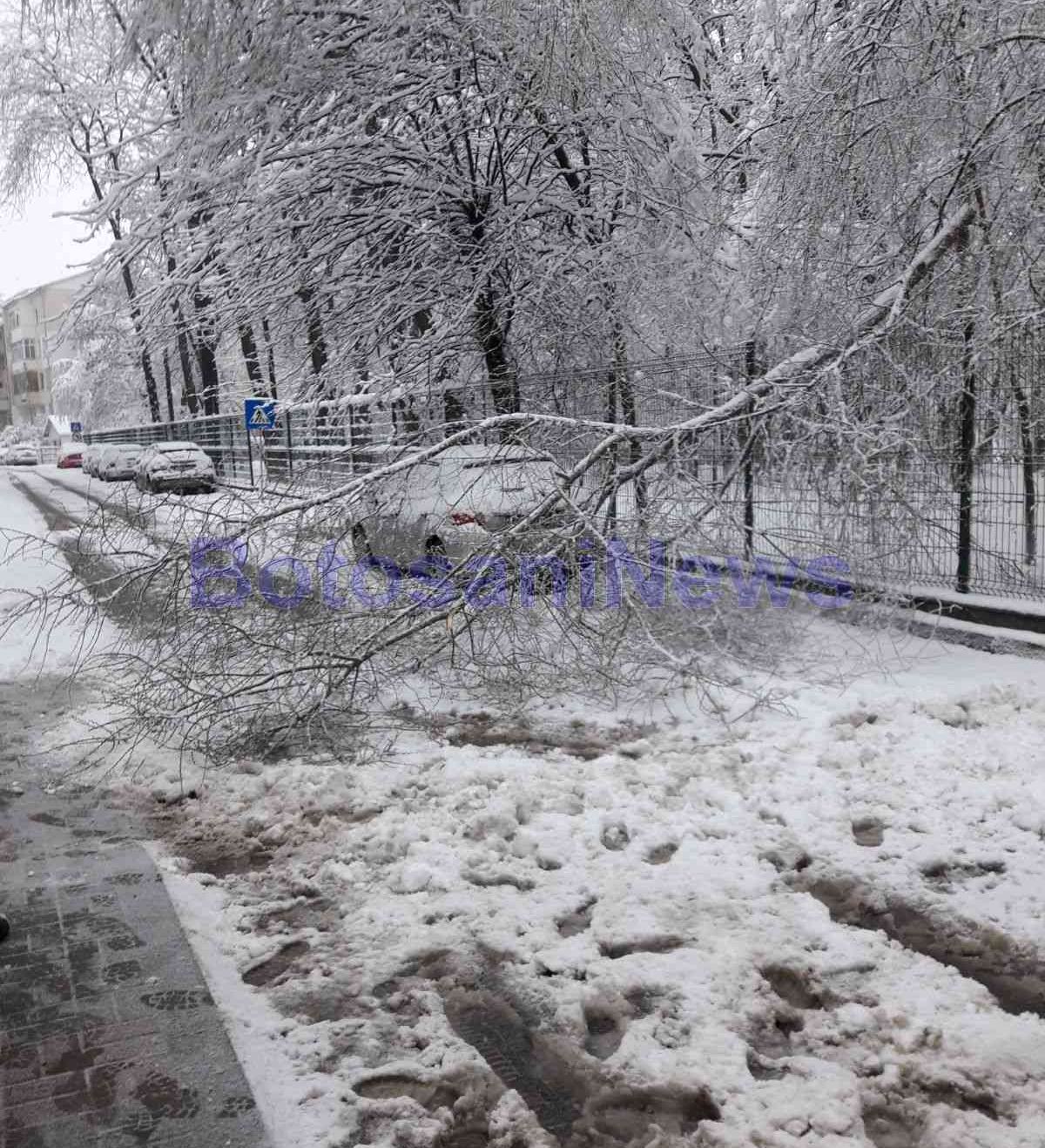 EBA37B83-06B3-451B-AB3B-AD28D6E3A00C