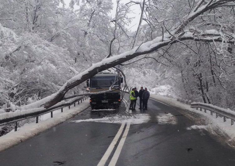 F5D199BE-0177-4D78-B785-EC2230B29E15