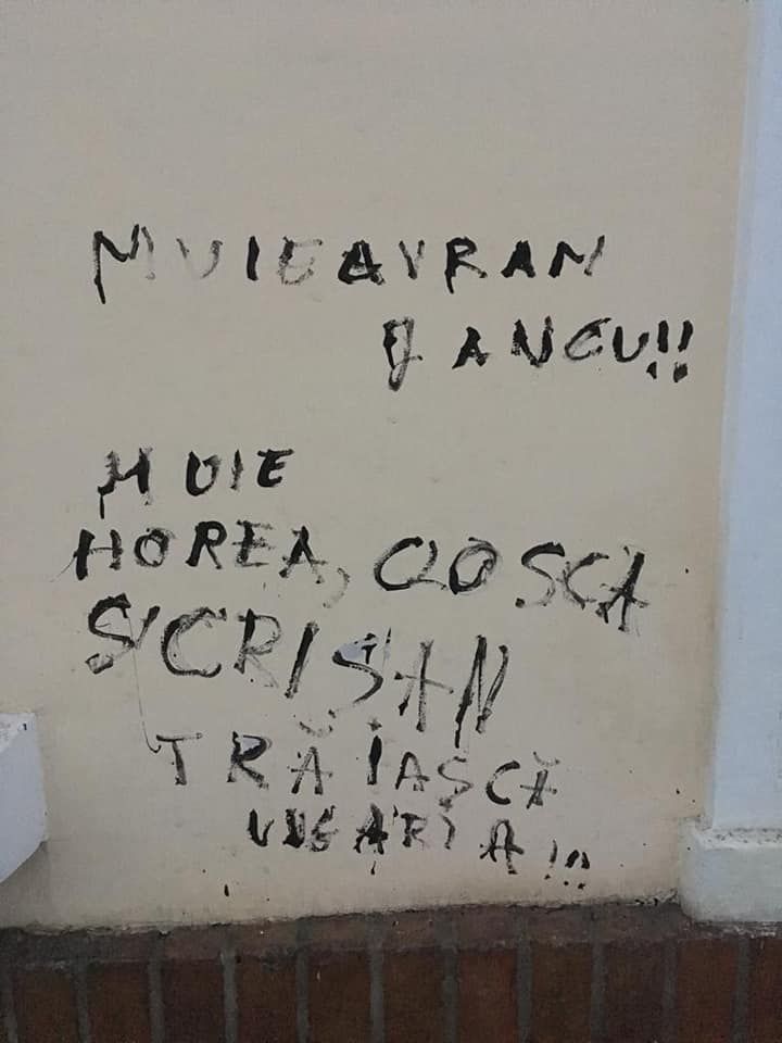 49948755_1997349040381928_8589293125749440512_n