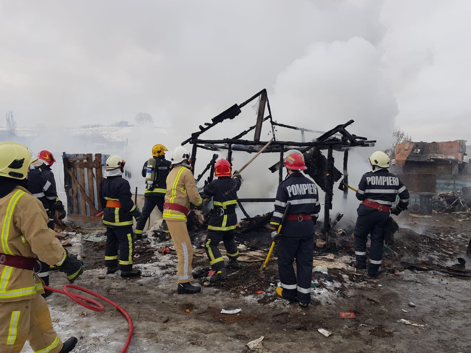 WhatsApp Image 2019-01-28 at 11.33.48