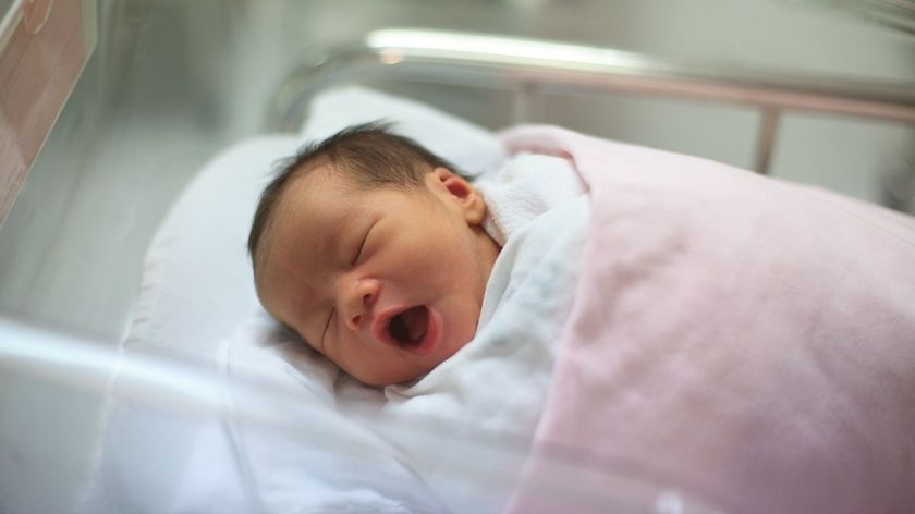 1-nou-nascut-15-res-4847-b