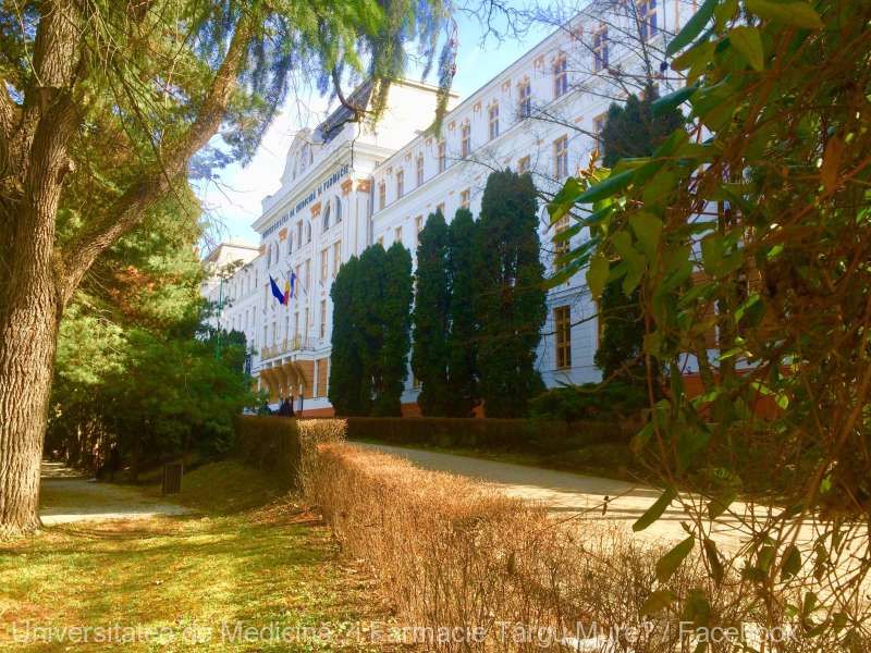 29351642_2048667308755189_3325265878868382643_o