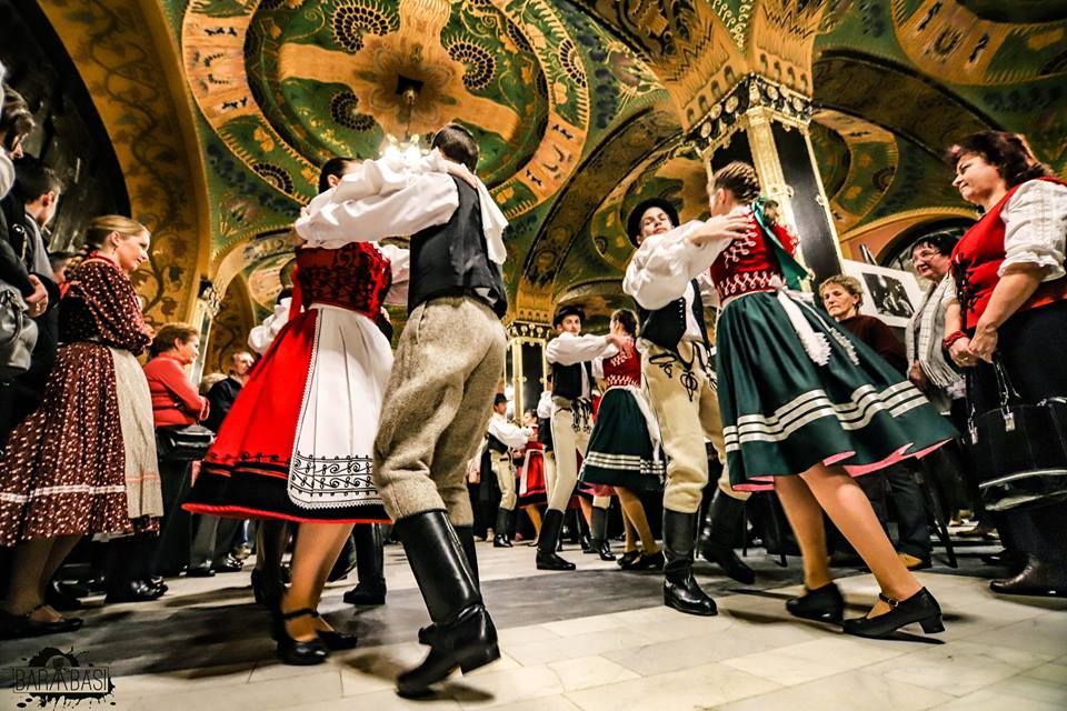 50751080_2254428581274892_7803131321068290048_n