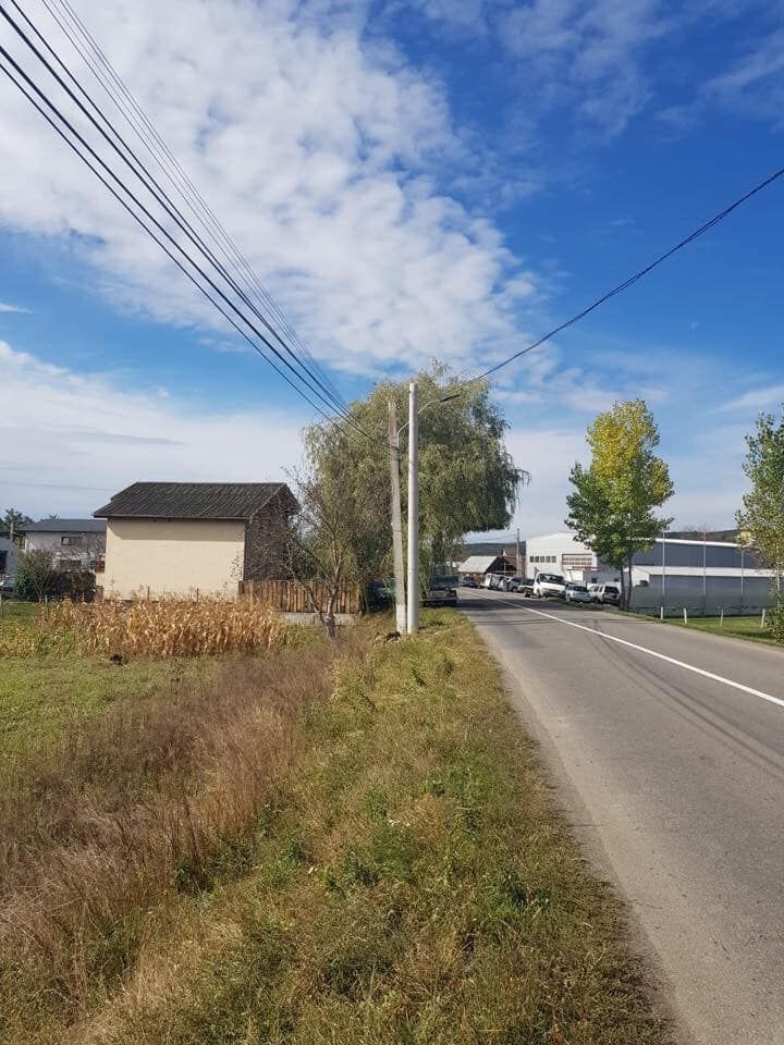 52753354_2247229985557723_5870759508065648640_n