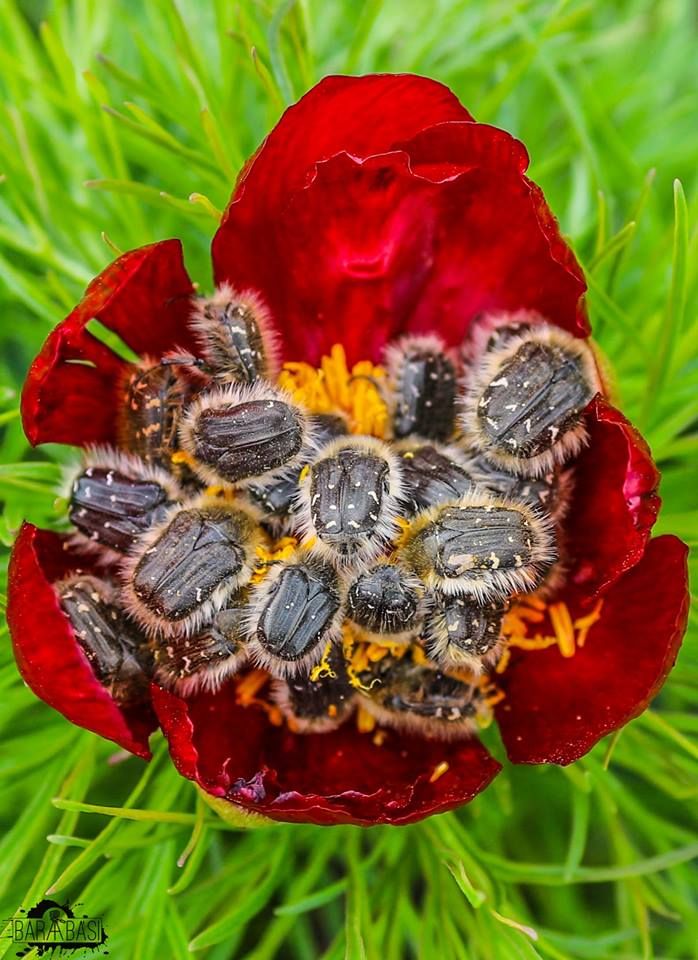 57382301_2373974865986929_457723151590096896_n