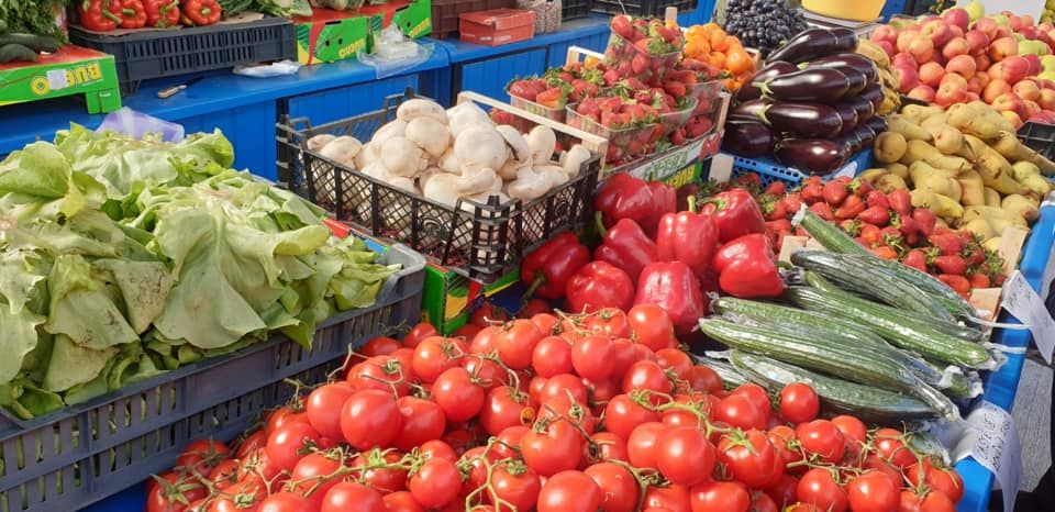 58382016_2202404346756169_3844872062162173952_n