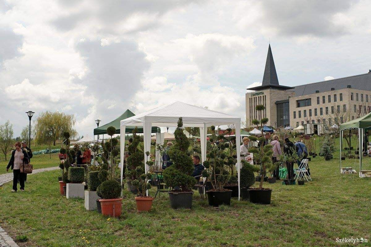 FB_IMG_1555226856402