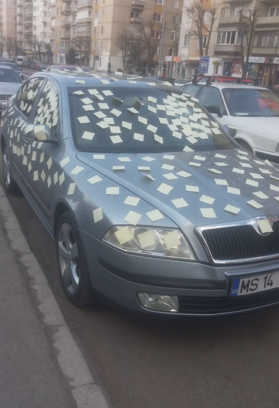 WhatsApp Image 2019-04-01 at 14.46.20(1)