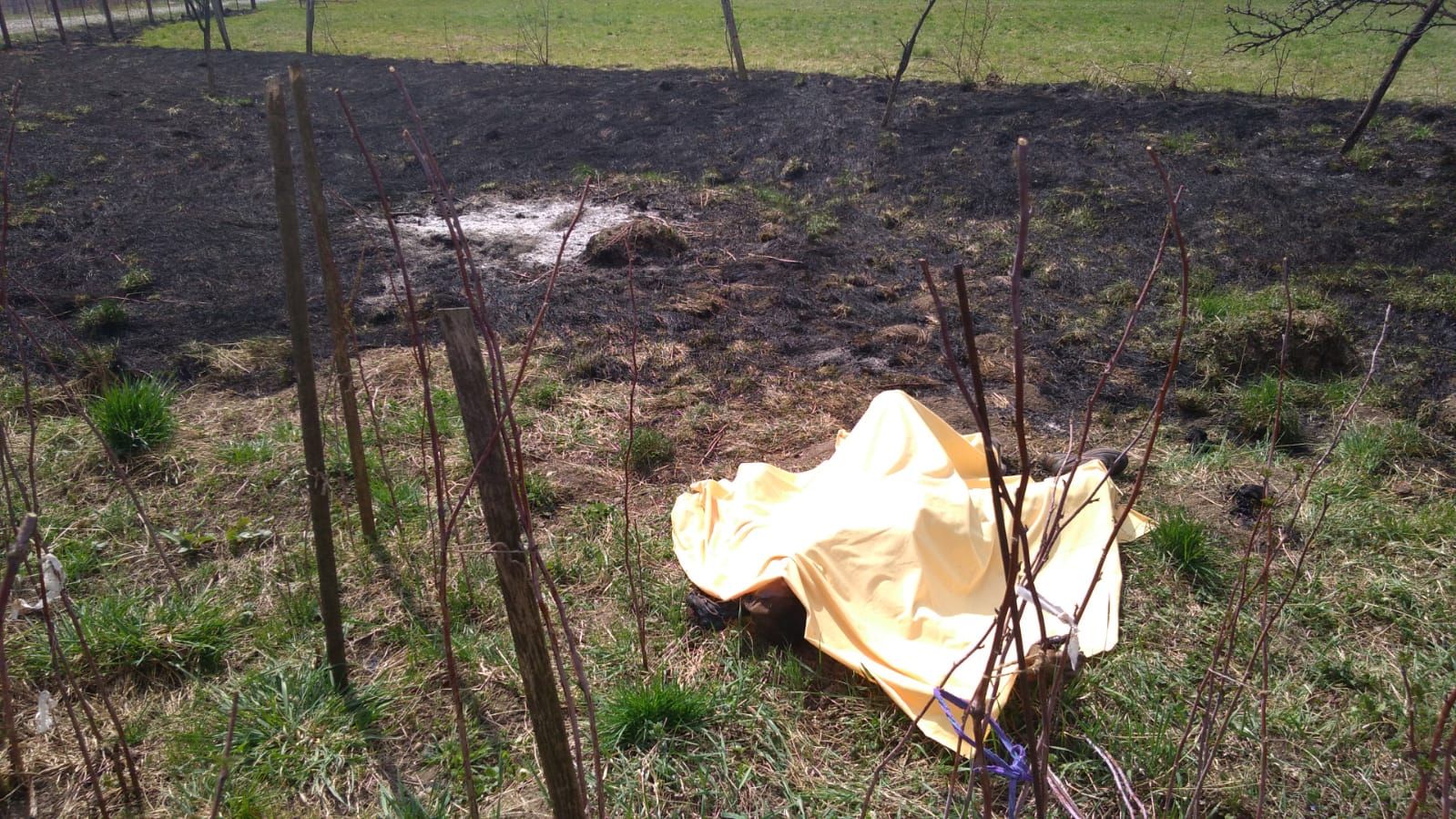 WhatsApp Image 2019-04-05 at 16.52.07