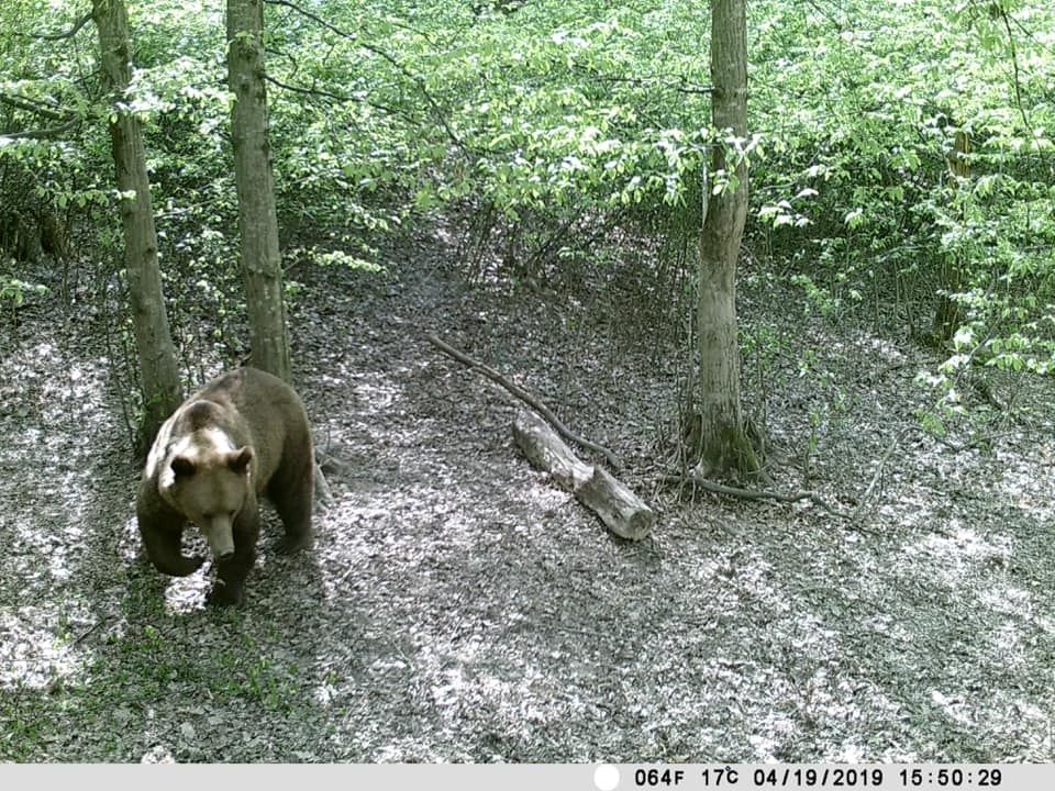 59339790_2463805523654244_1260104187300020224_n