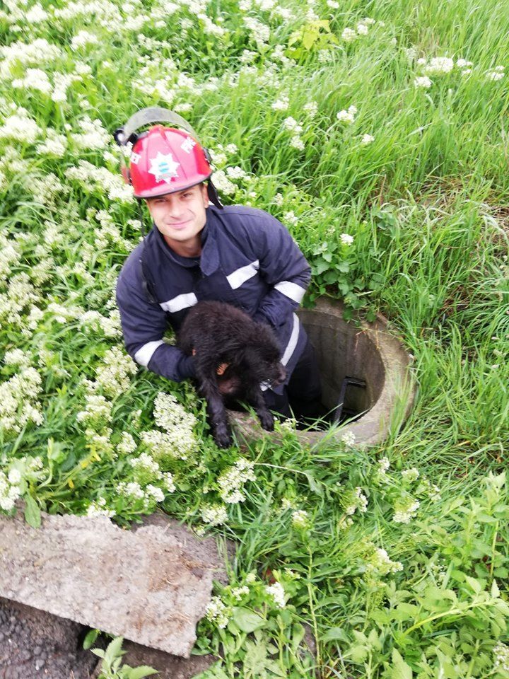 60300121_2212659582124736_5830089861444403200_n