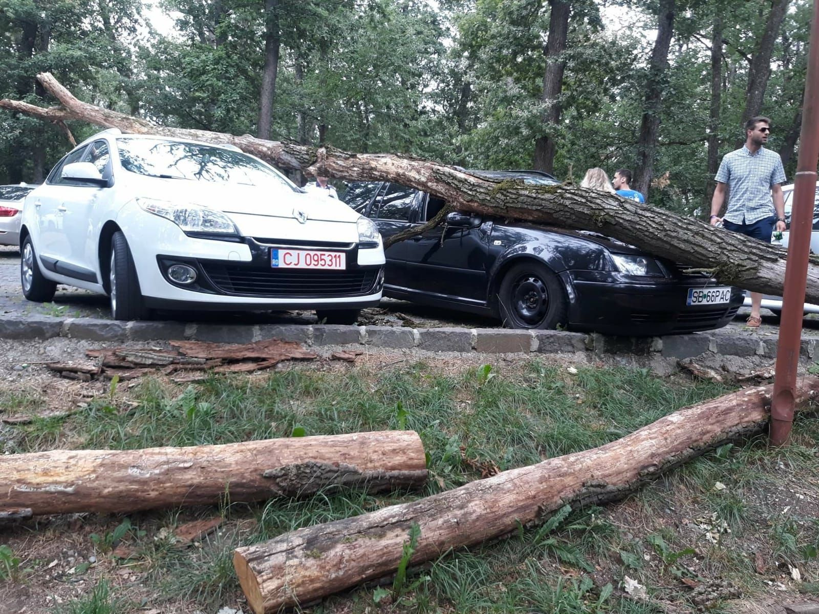 ebc53994-283c-4254-b854-c9f7d77edf00